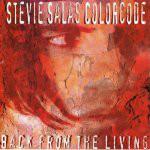 

CD STEVIE SALAS COLORCODE - Back From The Living PSCW5062 Polystar 1994 Japan ObiRock Used