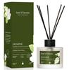 Soul & Scents Glass 120ml Lemongrass Reed Diffuser Set | Free 6 Fiber Reed Sticks | Stress Relief & Aromatherapy | Long-Lasting,