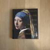 [GEBRAUCHT] Mauritshuis Kunstausstellungssammlung