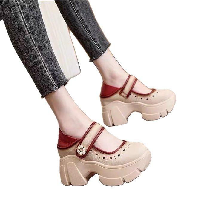 Mary Jane women's shoes 2025 spring and autumn new French thick heel single shoes versatile height Velcro small leather shoes