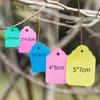 100 pz Etichette Riutilizzabili in PVC per Piante da Appendere con Cordino Segnalibri Etichette da Giardino Scrivibili Decorazione da Giardino Etichetta Prezzo Esterno