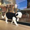 Autumn/Winter Warm Blue Cat Vest for Hairless Cats and Kittens