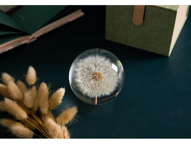 Dandelion & Sunflower Crystal Ball Ornament - High-End Gift for Christmas, Birthday, or Valentine's Day (M2)