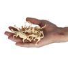 New 12Pcs Dinosaur Toys Fossil Skeleton Simulation Model Set Mini Action Figure Educational Creative Collection Toy For Children