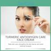 Wiyun Turmeric Repair Cream For Skin Hydration Moisturizing Oil Control Acne Relief