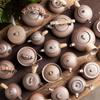Japanese-Style Handmade Teapot - Retro Coarse Pottery Stoneware, Portable Ceramic Teaset for Kungfu Tea