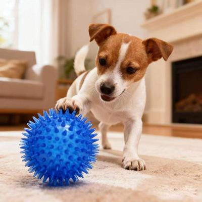 Köpek – Köpek oyuncakları