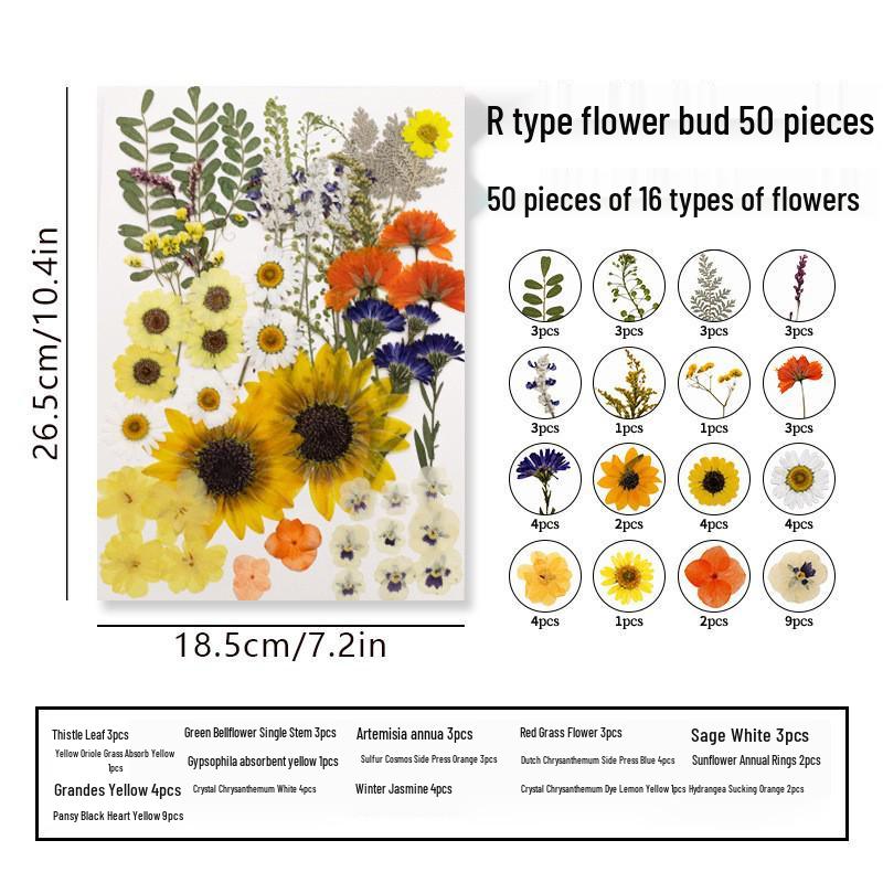 DIY Dried Flower Specimen Sticker Set for Kids: Handmade Pressed Flower Frames & Resin Bookmark Craft Kit