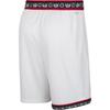 Nike Dri-Fit Memphis Grizzlies Hardwood Classics Series Embroidered Logo Breathable Basketball Shorts Men Shorts White FQ4694-100