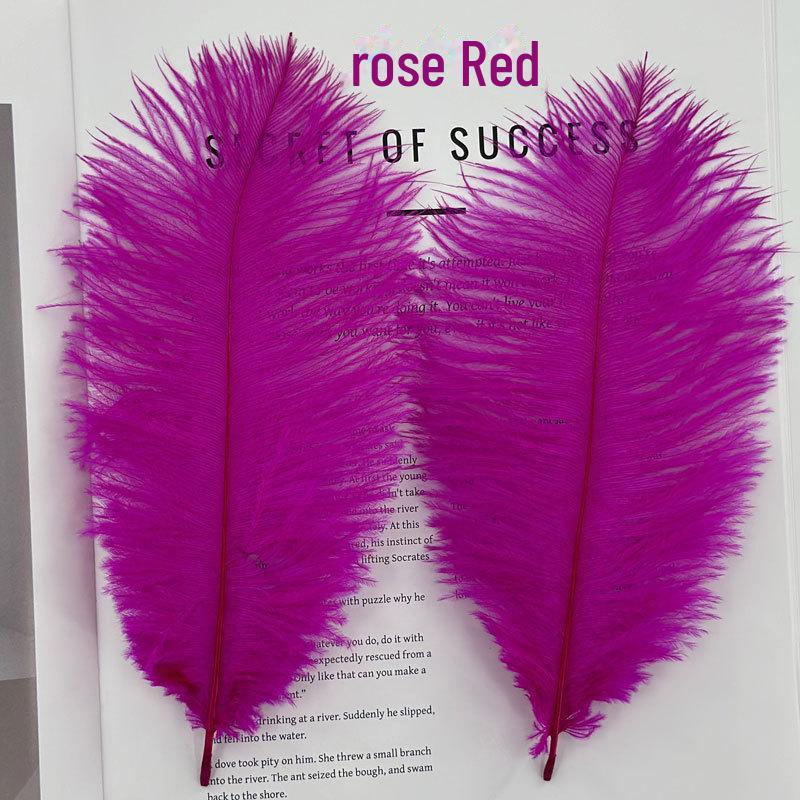 Barevné zavírače na dorty z pštrosího peří a příslušenství