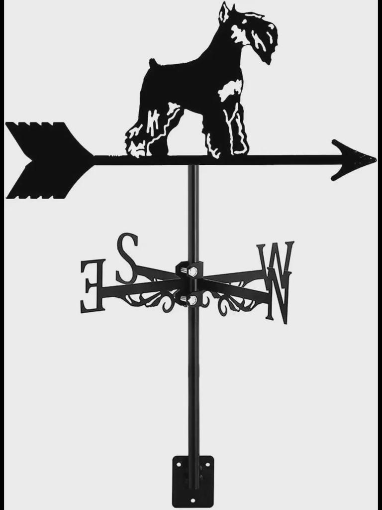 Wetterfahnen-Ornament aus Edelstahl für den Außenhof