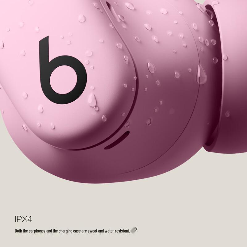 Beats Powerbeats Fit True Wireless Sport Earbuds