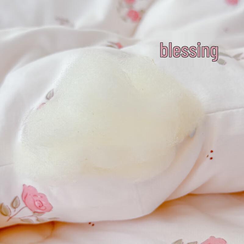 Jieliya Cloud Cotton Soybean Winter Quilt