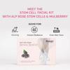 Raaga Professional Stem Cell Infused Fairness Facial Kit 61 G Home Spa Skin Brightening With Alp Rose Mulberry Extracts