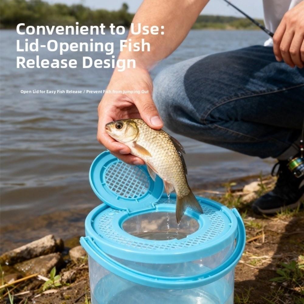 With Cover Plastic Fish Tank Small Size Fish Transport Bucket Foldable Aquarium  Fish Transport