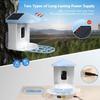 DAWU Hot New Product Smart Bird Feeder Camera Real-time Monitoring Wireless Camera Bird Feeder DWB060025