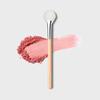 [Best Highlighter] The Tool Lab 160 Blusher Pan