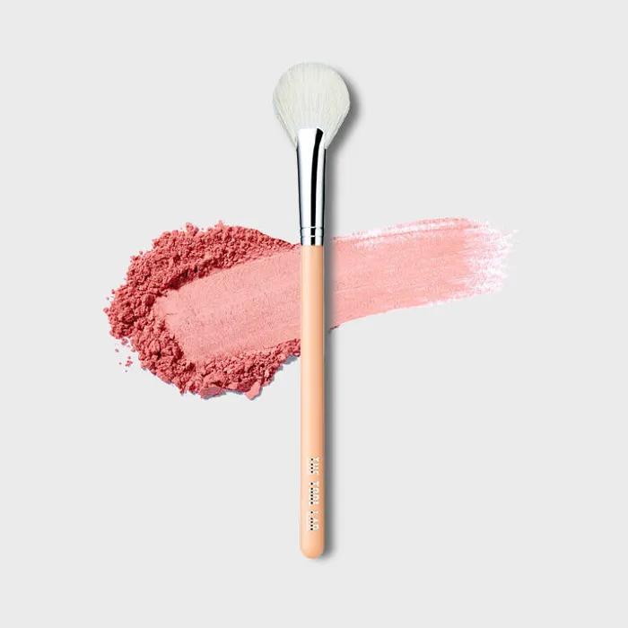 [Best Highlighter] The Tool Lab 160 Blusher Pan