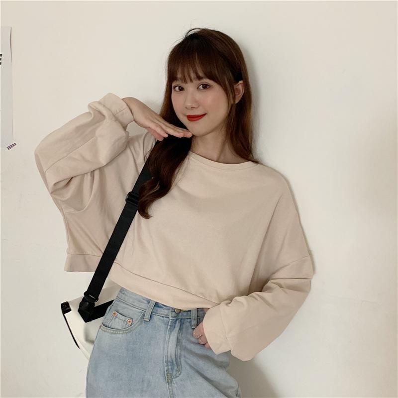 Spring and Autumn Regular Models Loose Thin Section Sweater Women Casual Short Section Round Neck Long-sleeved T-shirt Retro Versatile Sweatshirt