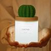 Home Mini  Anion Humidifier USB Silent Cactus Humidifier Office Air Humidifier LED Lights  Office