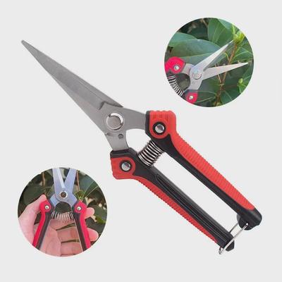Stainless Steel Pointed Pruning Scissors for Fruit, Branches, and Vegetables