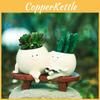 European Style Succulent Planter Resin Craft For Birthday Party Gift Idea