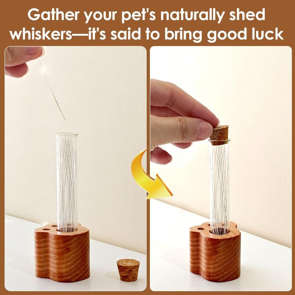 Mini Cat Whisker Jar Paw-Shaped Wood Base Glass Vase Cat Whisker Holder Transparent Memorial Gift Pet Hair Whisker Container