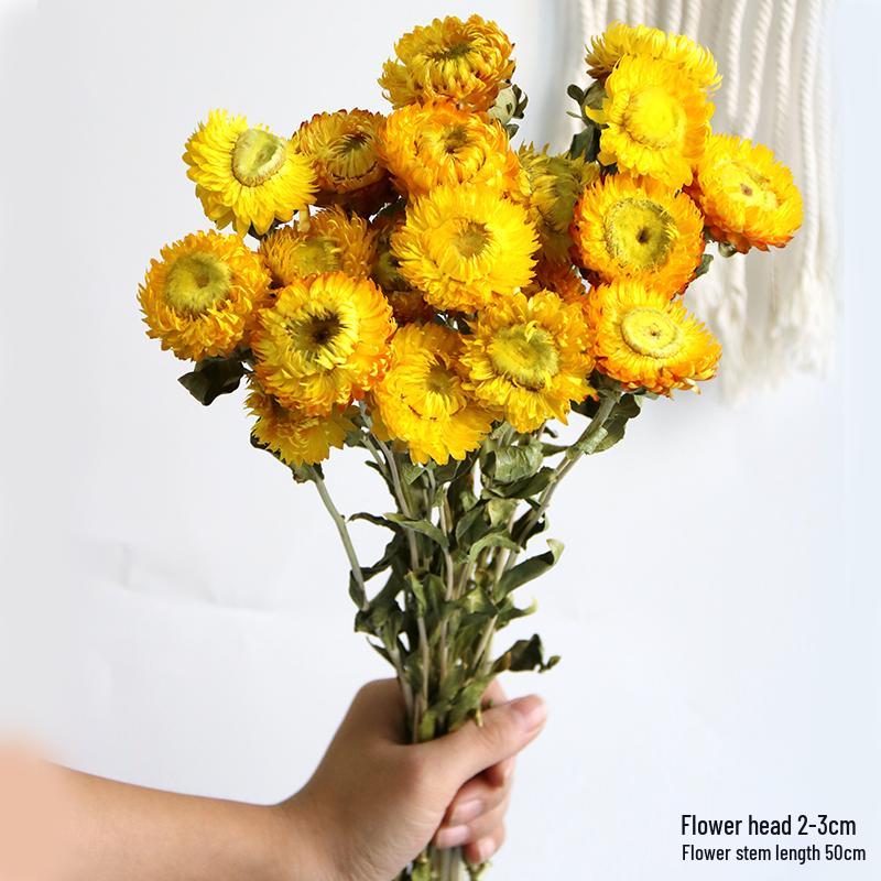 Daisy Dried Flower Bouquet for Living Room and Bedroom Décor - Natural Yunnan Flowers for Display or Photo Props