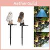 Solar Light Owl Animal Resin Garden Lawn Decorative Landscape Lighting Night