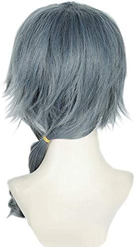 Cosplay Wig ES Crazy B Heat Resistant Wig Halloween (Shiina Niki)