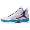Air 29 'Feng Shui' Men's 822227-154