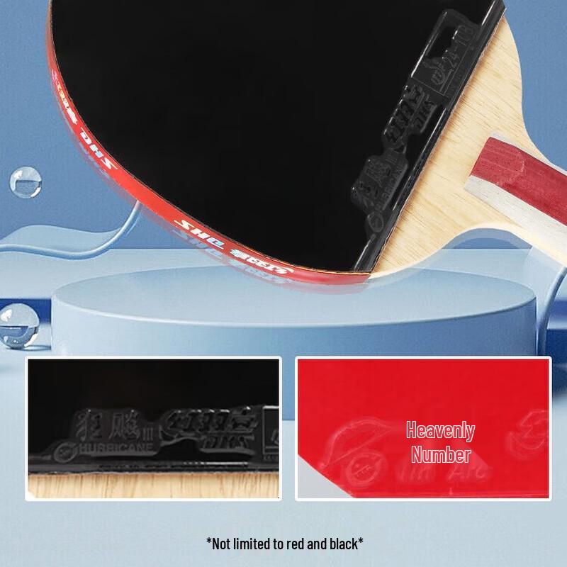 DHS Hurricane Series Table Tennis Racket