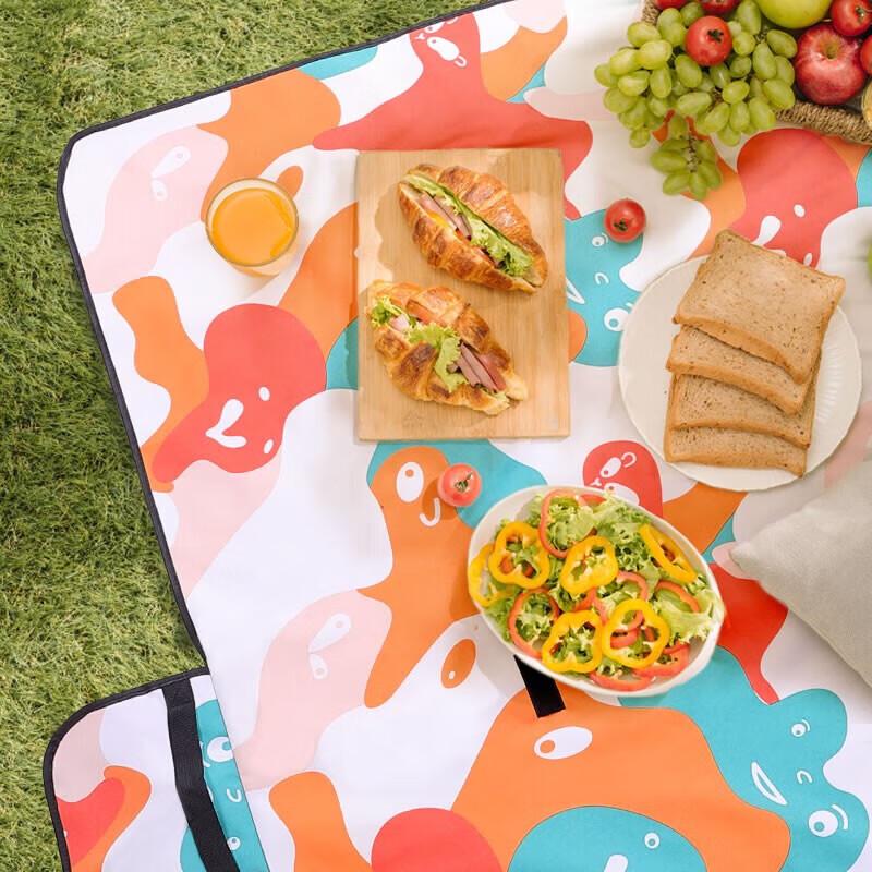 TFO Waterproof Picnic Mat