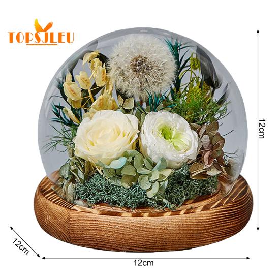 Capac din sticlă cu flori de păpădie veșnică, bază din lemn, cupolă din sticlă infinită păstrată de păpădie, soție iubita soție cadou de Ziua Îndrăgostiților