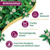Himalaya Anti-Hair Fall Bhringaraja Shampoo With Bhringaraja & Palasha,for men and women, 1000ml
