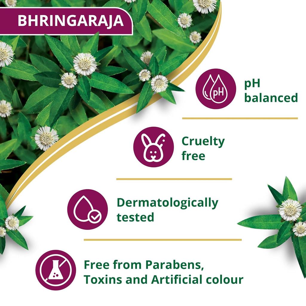 Himalaya Anti-Hair Fall Bhringaraja Shampoo With Bhringaraja & Palasha,for men and women, 1000ml
