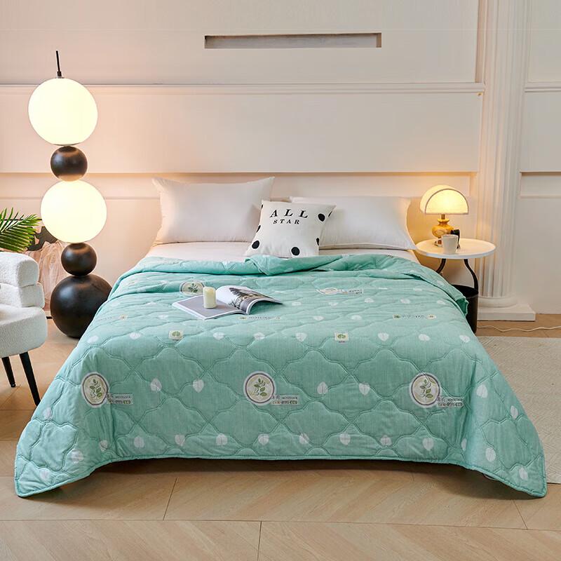 

ZMNXG Cool Mint Summer Quilt