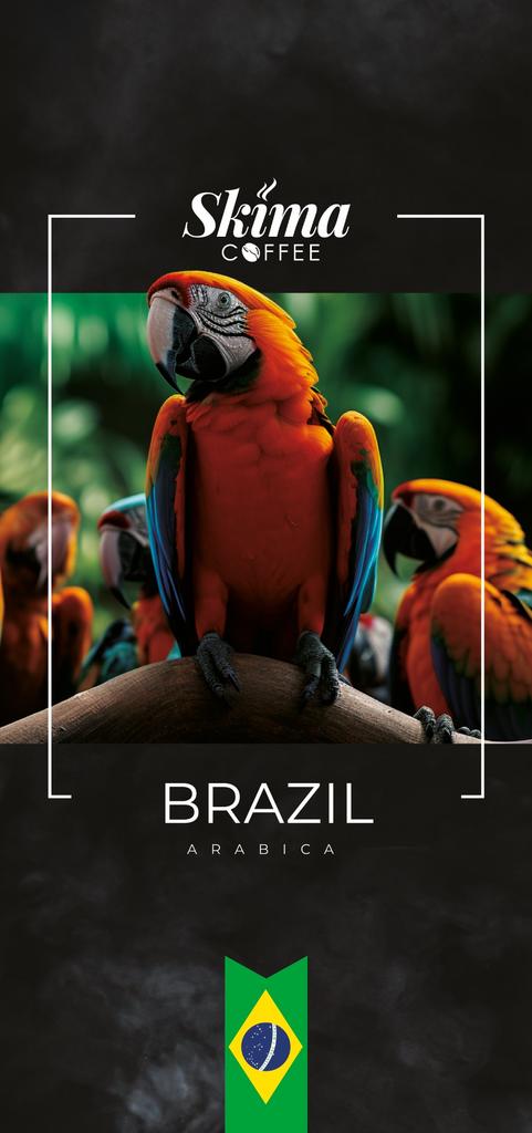 Kaffeebohnen 1kg Brasilien 100% Arabica Frisch Geröstet SkimaCoffee + gratis