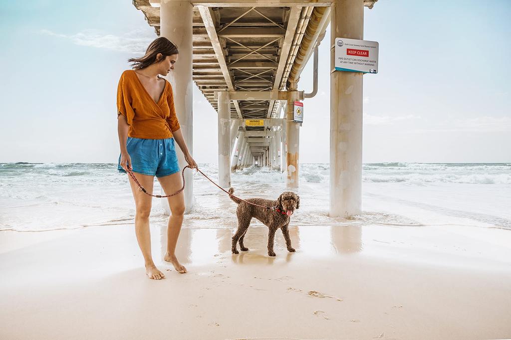 EZYDOG (Authorized Distributor) Marine Dog Leash, Orange, 170cm
