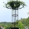 Rustproof Plant Frame DIY Assemble Climbing Plant Support  Vertical Garden Patio Balcony