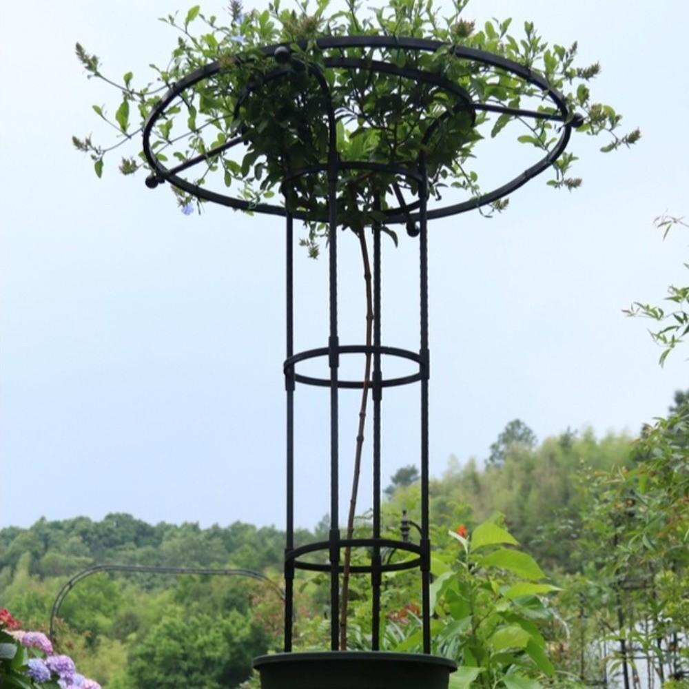 Rustproof Plant Frame DIY Assemble Climbing Plant Support  Vertical Garden Patio Balcony