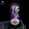 Rose Flower Preserved in Glass Dome with Night Light - Mother's Day or Birthday Gift Ornament