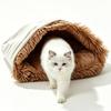 Soft Self Heating Cat Bed Warm Dog Thermal Nest Cave-style Pet Sleeping Mat  Winter