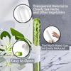 Refrigerator Herb Crisper Vegetables Fresh Preservation Bottle Household Saver Storage Container For Storing Kitchen Supplies