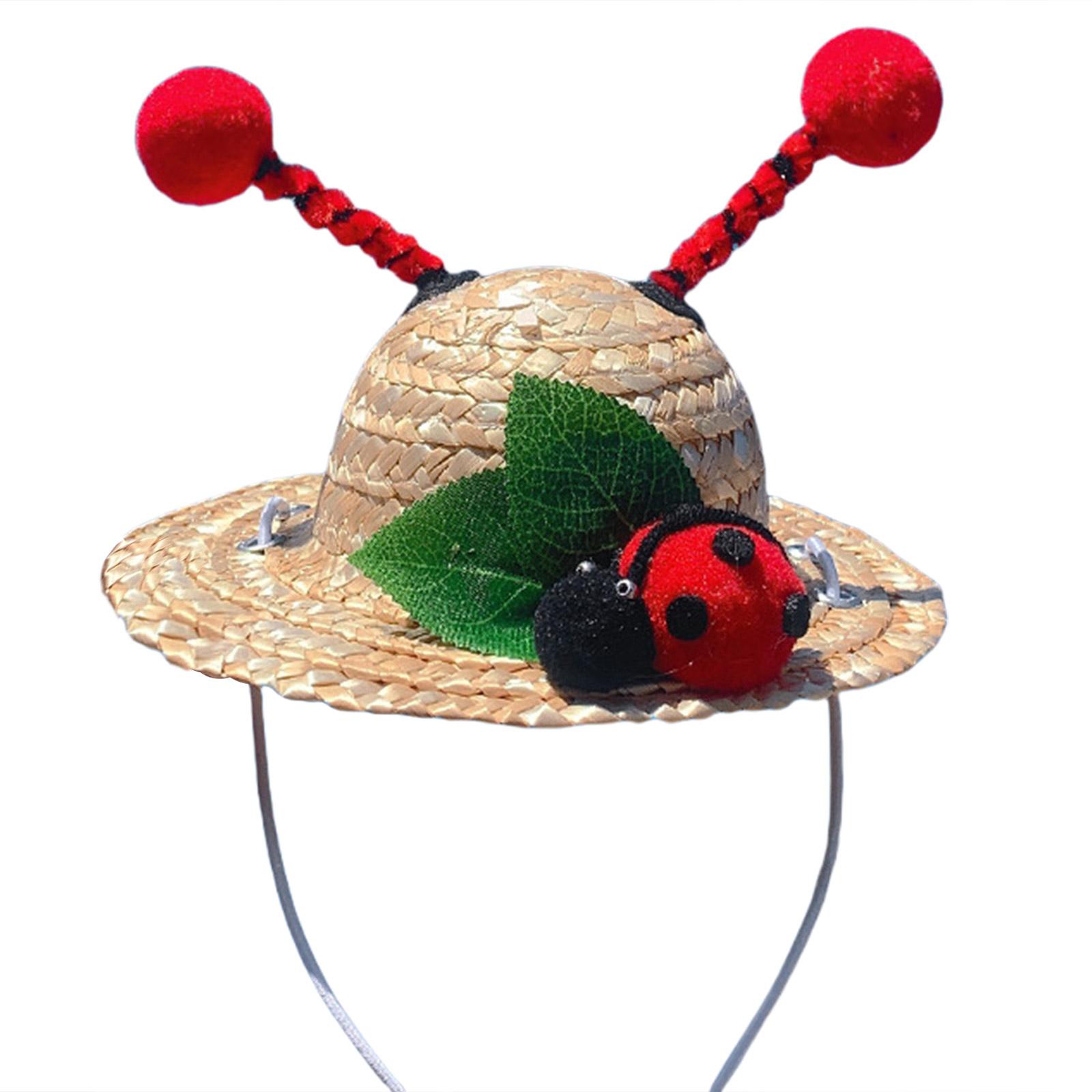 

Bees Ladybug Pattern Hat Travel Pet Hat Dog Walking Hat Vacation Dog Hat for Dog Walks and Beach Vacations S