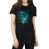 Harry Potter Womens/Ladies Voldemort Dark Mark Mist Cotton Boyfriend T-Shirt