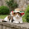 Adjustable Pet Sun Hat Lace Decor Dog Sun Protection Cap Fashion Cat Sunshade Hat  Walking Hiking