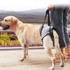 Dog Back Leg Lift Harness Powerful Support Reduces Pressure Adjustable Dog Hind Leg Sling for