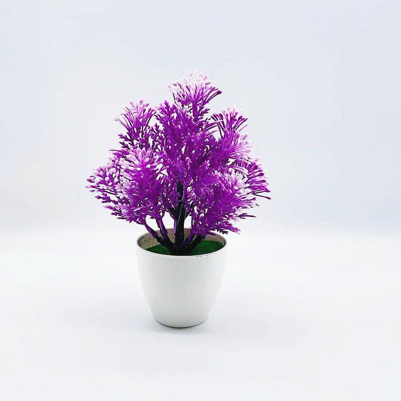 Odorata Lour Aglaia Potted Plant Bonsai Living Room And Event Decoration