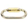 Outdoor Klettern Karabiner Bergsteigen Abstieg Sicherheit O-Typ Karabiner Clip für Rettung